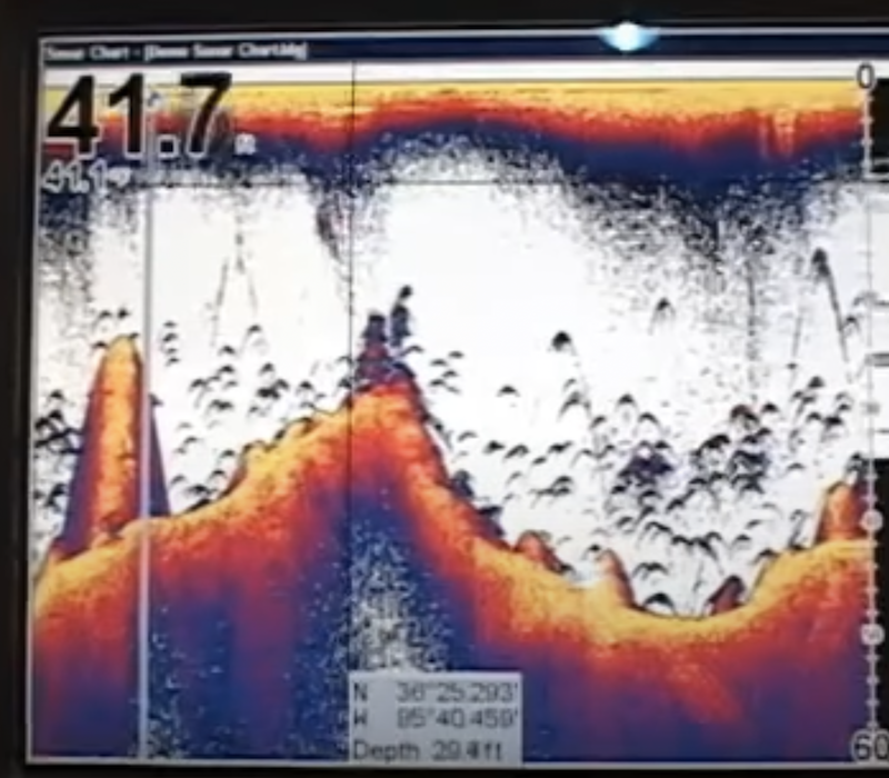 Photo showing display of fish finder with sensitivity adjusted to maximize fish arches