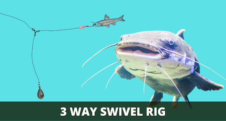 3 Way Swivel Rig 101 (Setup and How-to Guide with Pictures)