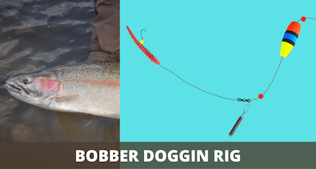 Bobber Doggin Rig (Setup and How-to Guide With Pictures)