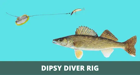 Dipsy Diver Rig 101 (Setup and How-to Guide with Pictures)