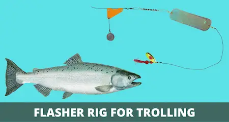 Flasher Rig for Trolling (Setup & How-to Guide for Beginners)