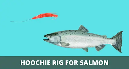 Hoochie Rig for Salmon (Setup & How-to Guide with Pictures)