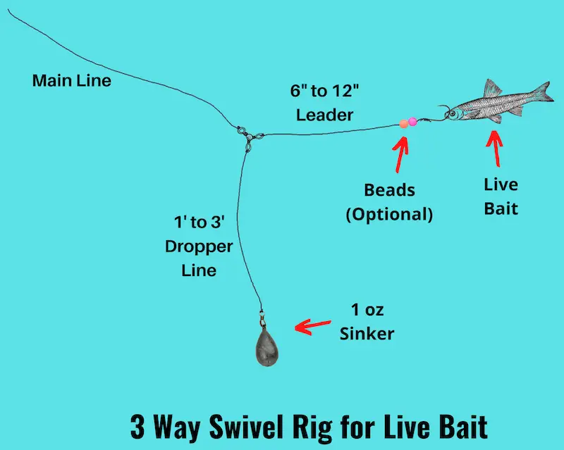 Image of 3 way swivel rig for live bait