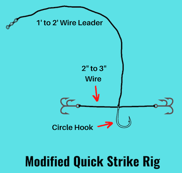 Image of modified quick strike rig with circle hook