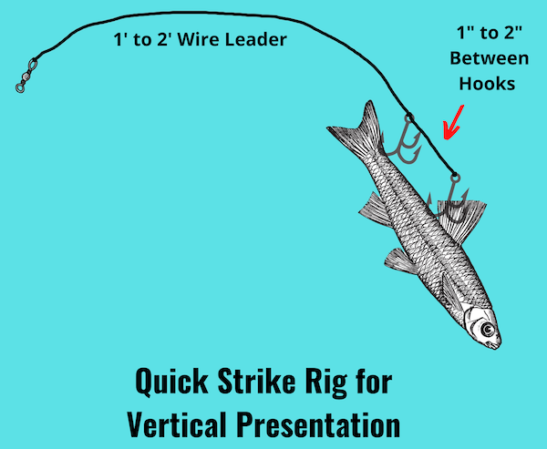 Image of quick strike rig for vertical presentation