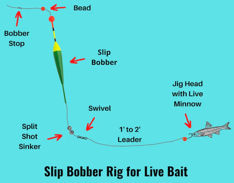 Image of slip bobber rig baited with live bait