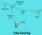 3 Way Swivel Rig 101 (Setup and How-to Guide with Pictures)