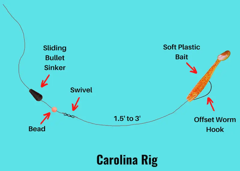 Image showing Carolina rig with soft plastic swimbait