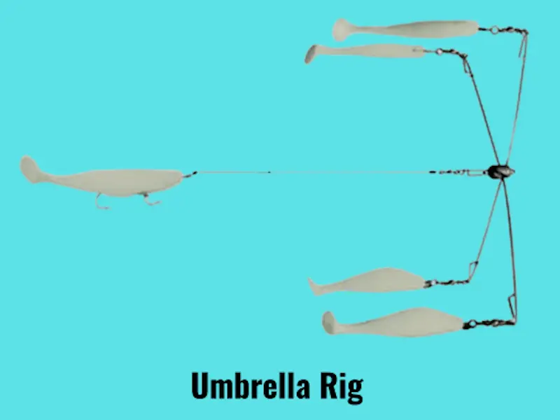Image showing Umbrella rig