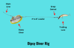 Dipsy Diver Rig 101 (Setup & How-to Guide with Pictures)