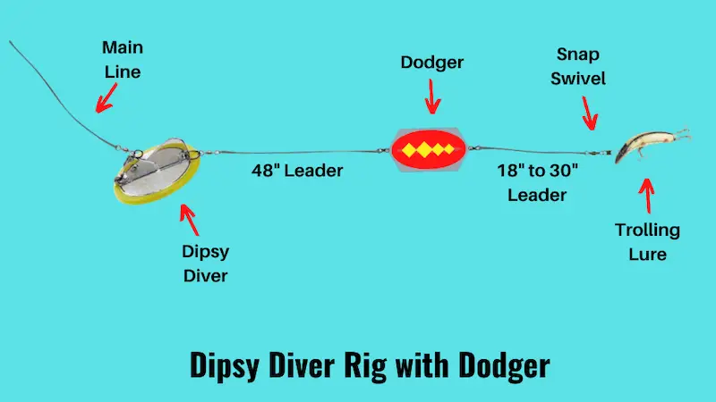 Image showing dipsy diver rig with dodger