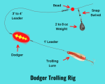 Dodger Trolling Rig (Setup & How-to Guide with Pictures)