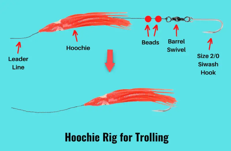 Hoochie Rig for Salmon (Setup & How-to Guide with Pictures)