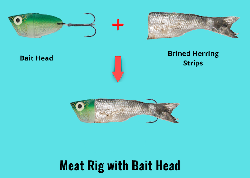 Image showing how to set up a meat rig with a bait head and herring strip