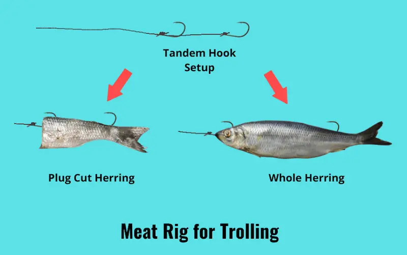 Image showing meat rig for trolling