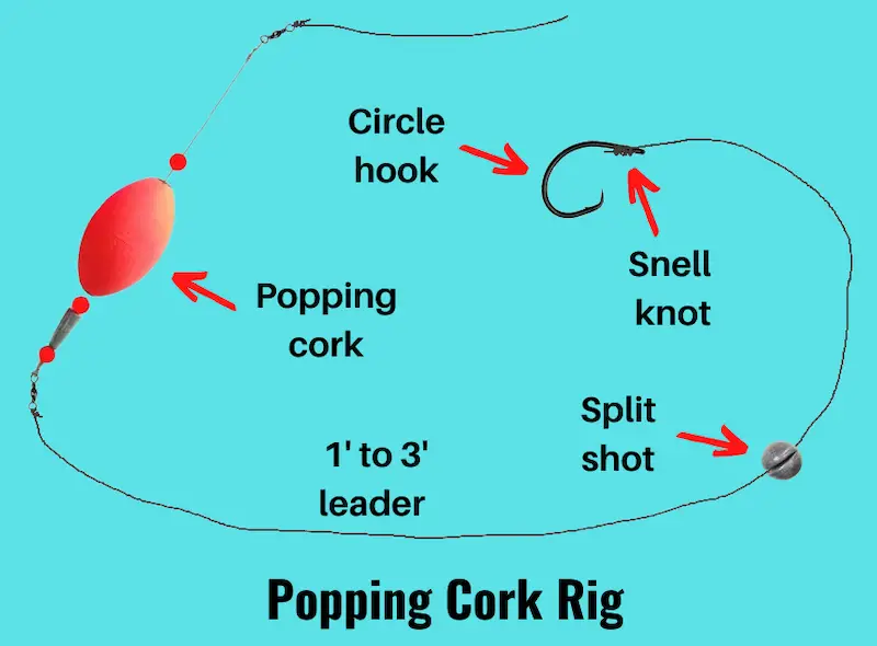 Image showing popping cork rig