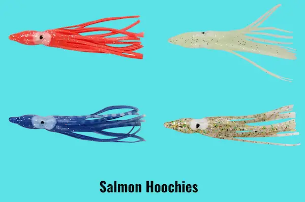 Image showing salmon hoochies