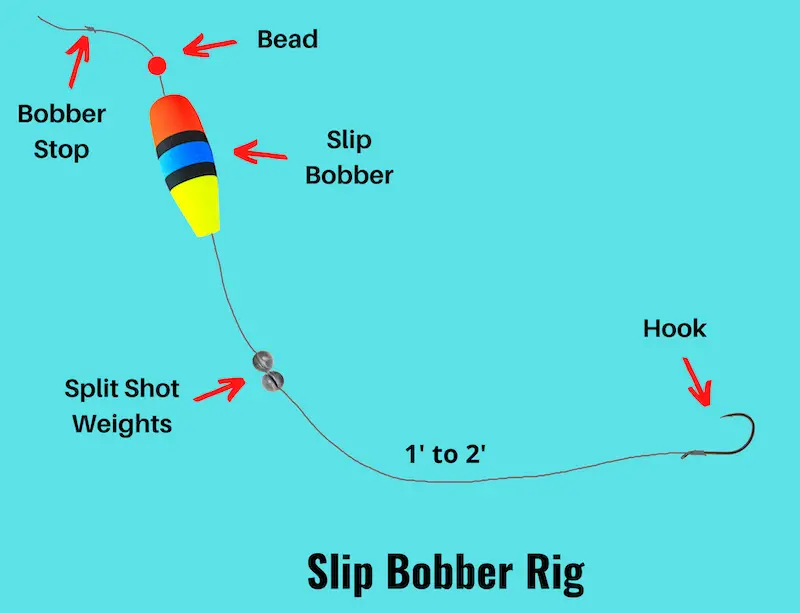 Diagram of slip bobber rig