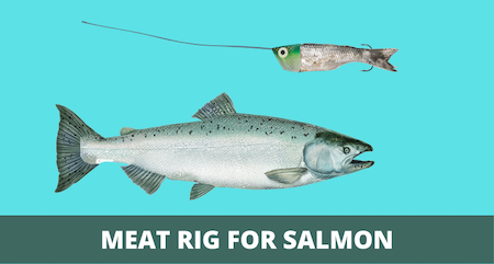 Meat Rig for Salmon (Setup & How-to Guide with Pictures)