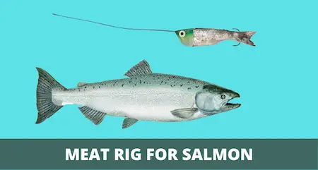 Meat Rig for Salmon (Setup & How-to Guide with Pictures)