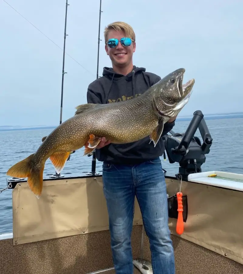 Photo of a lake trout caught with a cowbell trolling rig