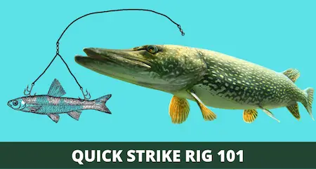 Quick Strike Rig 101 (Setup and How-to Guide with Pictures)