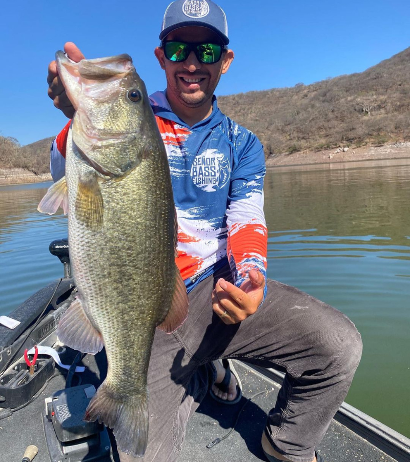 Angler holding largemouth bass caught with a plastic bait on a Texas rig