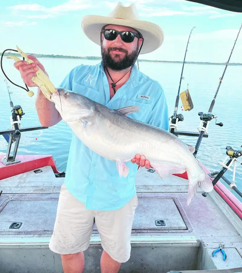 Angler on a boat holding a blue catfish caught with cut bait fished on a Santee rig