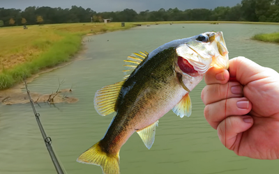 Bank fishing for bass