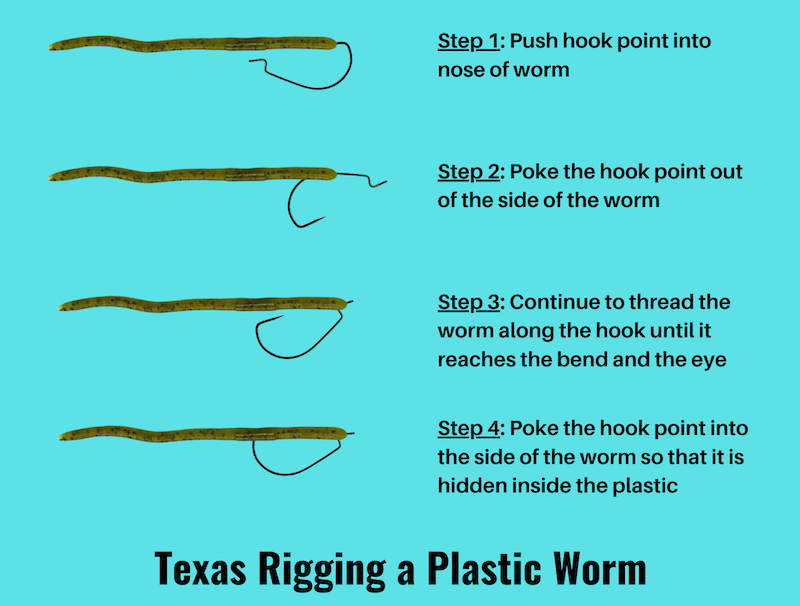 Diagram showing how to Texas rig a plastic worm