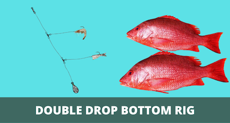Double Drop Bottom Rig (Setup & Fishing Guide with Pictures)