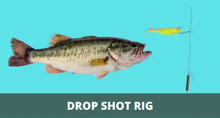 Drop Shot Rig 101 (Rigging & Fishing Guide with Pictures)