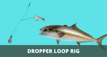 Dropper Loop Rig 101 (Setup & Fishing Guide with Pictures)
