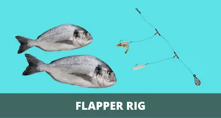 Flapper Rig 101 (Setup and Fishing Guide With Pictures)