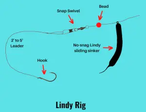 17 Types Of BOTTOM FISHING RIGS (That Catch Fish Anywhere)