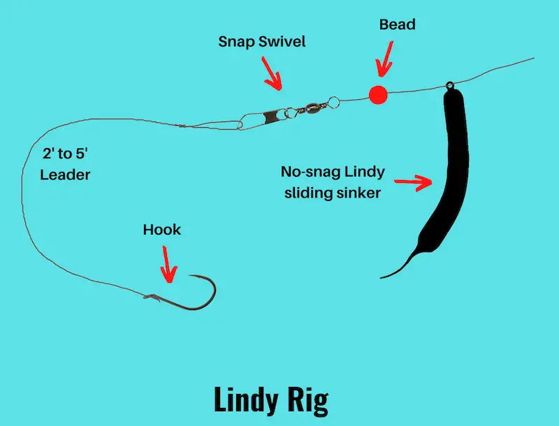 Image showing Lindy rig diagram