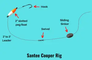 Santee Cooper Rig (Setup and Fishing Guide with Pictures)