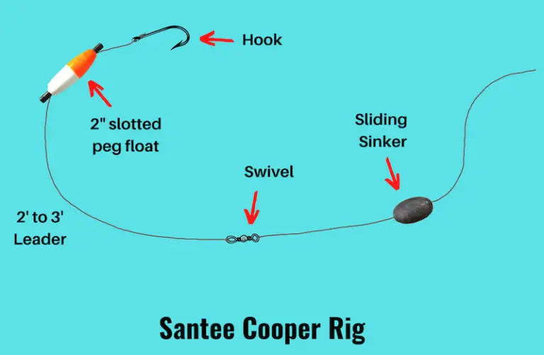 Santee Cooper Rig (Setup and Fishing Guide with Pictures)