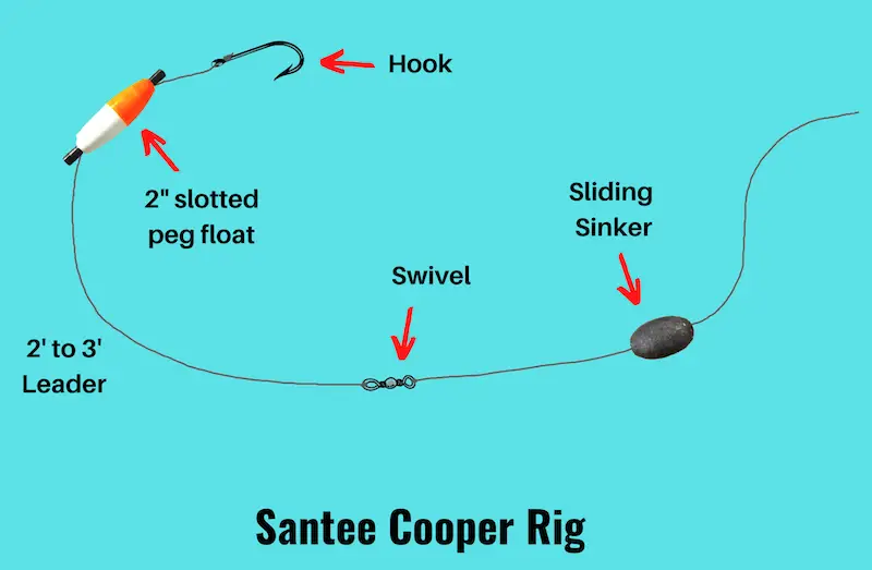 Image showing Santee Cooper rig diagram