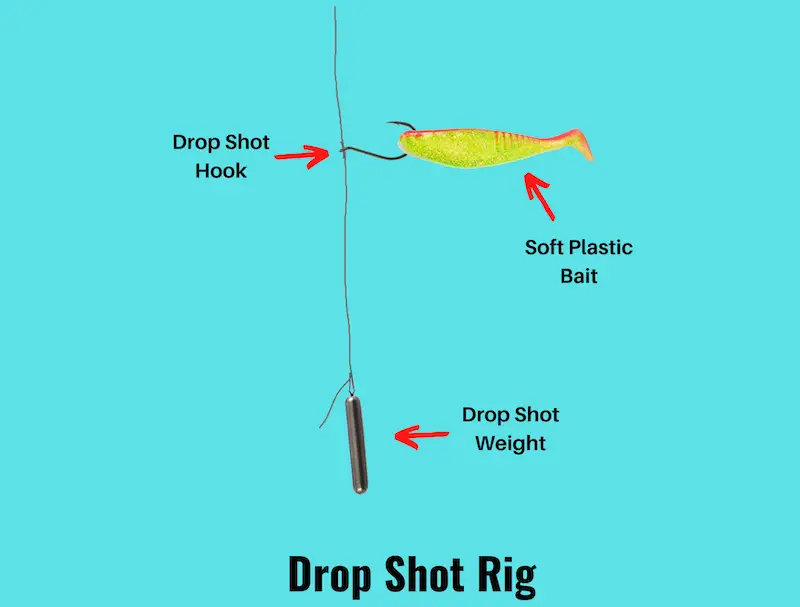 Image showing drop shot rig diagram