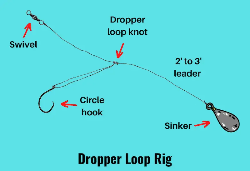 Diagram of dropper loop rig