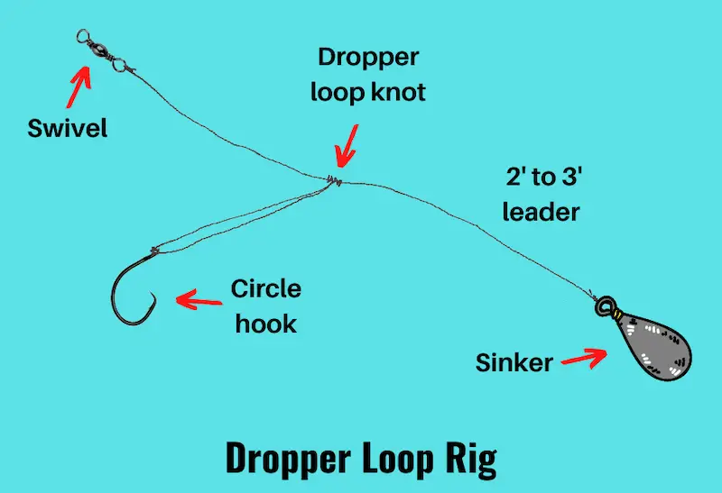 Dropper Loop Rig 101 (Setup & Fishing Guide with Pictures)