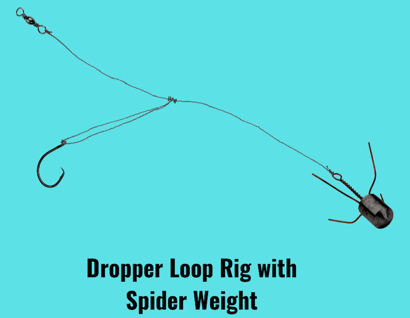 Image showing dropper loop rig with spiderweight