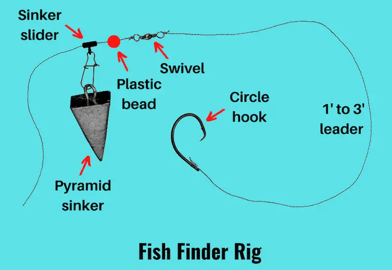 Image showing fish finder rig diagram