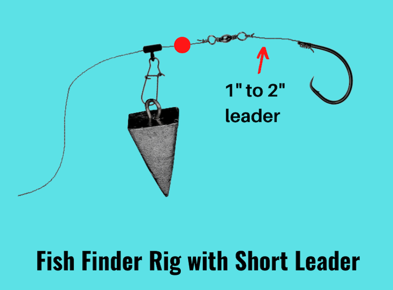 Image showing fish finder rig with short leader