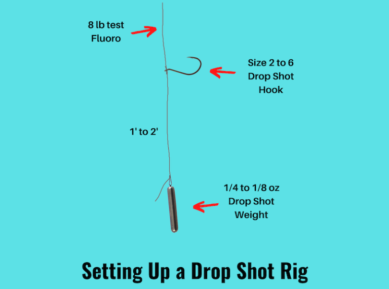 Drop Shot Rig 101 (Rigging & Fishing Guide with Pictures)