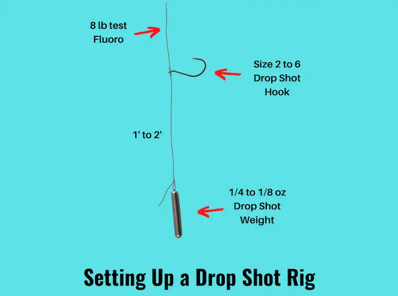 Image showing how to put together the components of a drop shot rig