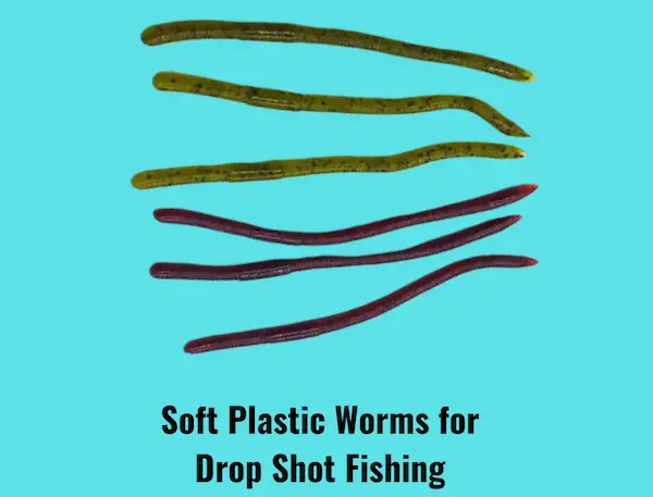 Image showing soft plastic worms for drop shot fishing