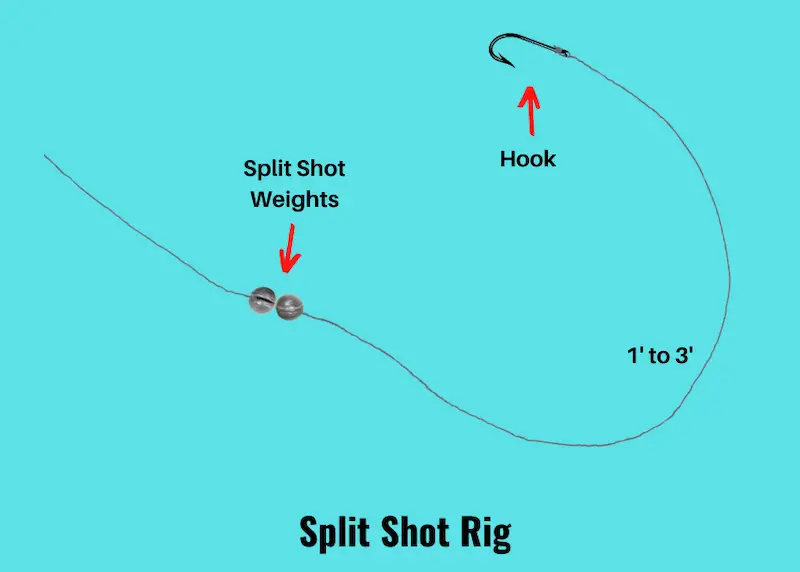 Image showing split shot rig diagram