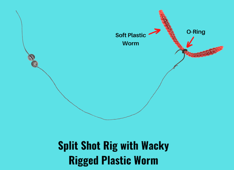 Image showing split shot rig with wacky rigged plastic worm